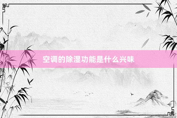 空调的除湿功能是什么兴味